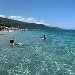 Olga 피조